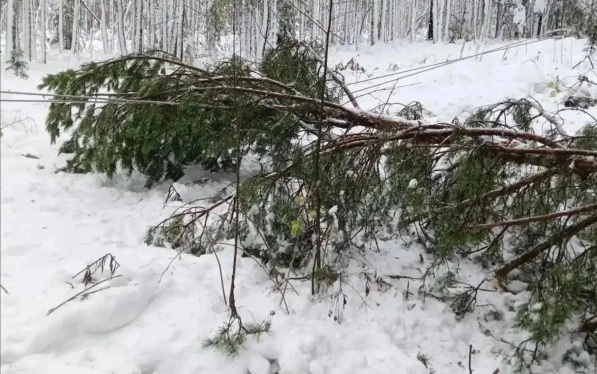 Часть Свердловской области осталась без света из-за непогоды