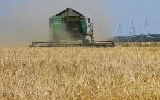 В ЕС растет популярность идеи защиты своего рынка от украинского экспорта