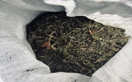 Уголовное дело возбуждено по факту хранения крупной партии наркотиков в Приморье