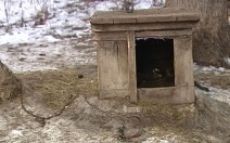 Пропавшего мальчика полицейские в ЕАО обнаружили спящим в собачьей будке