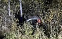 В Томской области три человека пострадали в ДТП с медведем