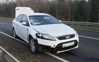 Пешеход погиб под колесами иномарки на трассе в Кировской области