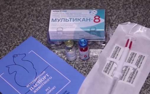 Производитель вакцины "Мультикан-8" заявил, что содействует расследованию