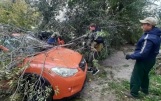 Часть Барнаула осталась без света из-за ураганного ветра