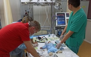 Бросившая больного ребенка в Москве семья из Ингушетии признана неблагополучной