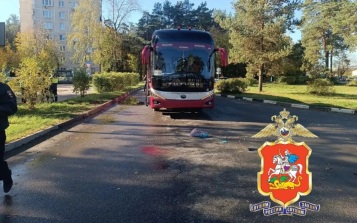 В Жуковском автобус насмерть сбил женщину-пешехода