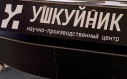 В России создали систему управления роем дронов с помощью голоса