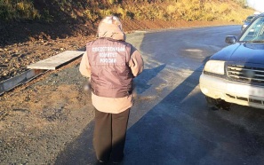 На трассе на Сахалине обнаружено тело 74-летнего мужчины