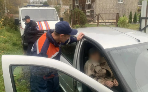 В Подмосковье найден пропавший на прогулке в СНТ 91-летний мужчина