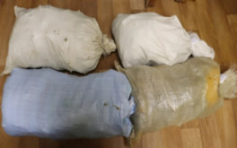 Полицейские изъяли у жителя Приморья крупную партию конопли и гашишного масла