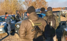 Рядом следы тигра, рыси и медведя: в Амурской области ищут пропавшую пенсионерку
