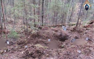 Медведи растерзали двух человек в Иркутской области