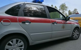 Женщина, угрожавшая задушить детей в Москве, приехала из Крыма