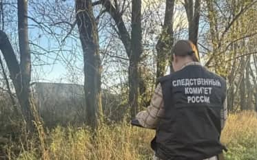По факту обнаружения человеческих останков в Петербурге СК завел дело