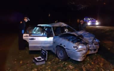 В Свердловской области легковушка наехала на корову, погибли человек и животное