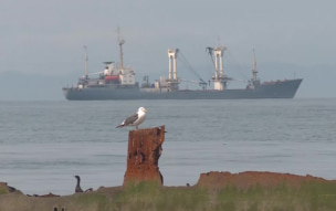 Морское сообщение Сахалина с материком закрыто из-за непогоды