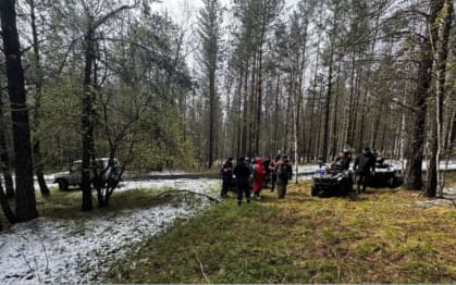 В "ЛизаАлерт" объяснили, почему часть поисков Усольцевых не удалось осуществить