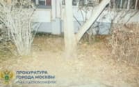 Прокуратура выясняет личности родителей ребенка, найденного в Зеленограде