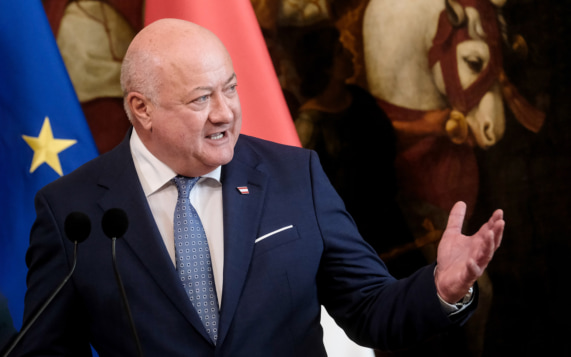 В Австрии заявили о "тяжелом сигнале" для Украины и ЕС после сделки РФ и США