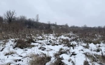 СК раскрыл первую информацию об обстоятельствах смерти девочки в Ачинске