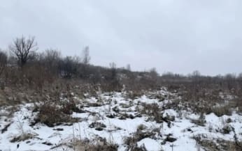 Погибшая в Ачинске девушка возвращалась ранним утром из гостей