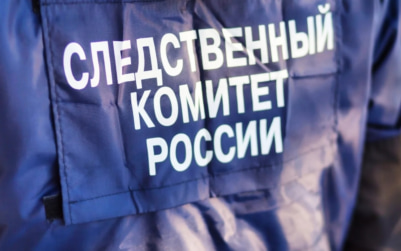Жительница Южно-Сахалинска обвиняется в применении насилия к полицейскому