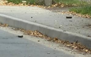 В Брянске подтвердили данные о взрывных устройствах на Донбасской улице